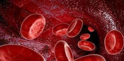 年轻的血液,揭秘生命活力的源泉