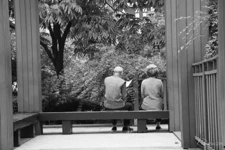 寸草燃晖,探寻生命之光的力量与意义