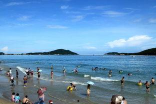 蓝色海湾,揭秘我国海洋生态宝库的绿色奇迹