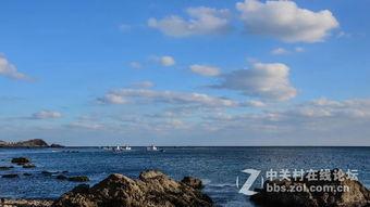 蓝色海湾,揭秘我国海洋生态宝库的绿色奇迹