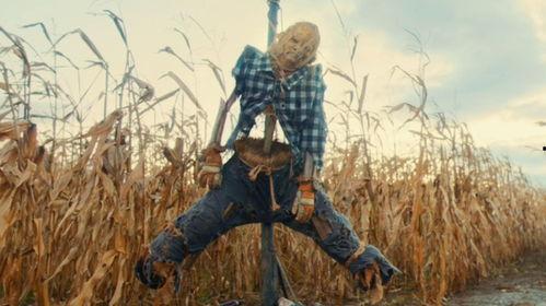 夺命稻草人,揭开校园霸凌的黑暗面