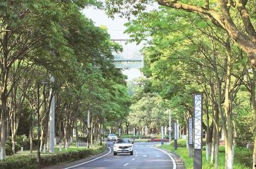 林荫 2022,绿色生态与可持续发展新篇章