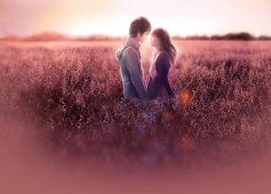 等不到你的晚安,只等你的晚安